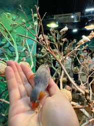 -Zoolung Zoolung动物主题公园(海信广场店)