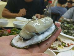 桑拿蠔-天宝食坊·啫啫煲大排档(西华路店)