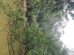 -南国桃园旅游度假区