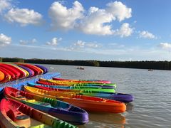 -上海海湾国家森林公园