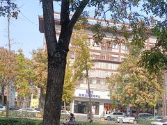 -一记洛阳菜·糖醋小排·水席(十字街店)