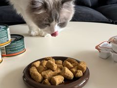 -帕帕拉兹宠物(亚洲旗舰店)