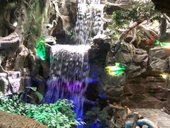 -多彩贵州城极地海洋世界