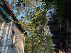-古董花园(思南路42弄小区店)