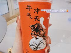霸气橙子-奈雪的茶(凯德新都心店)