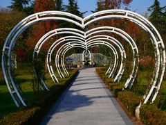 -昆山城市生态森林公园