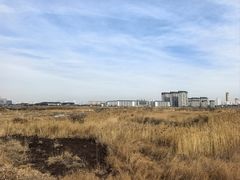 -皇粮浜湿地公园