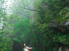 -梦幻奥陶纪景区
