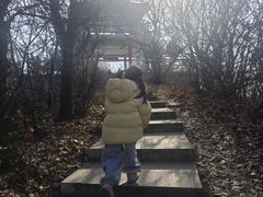 -沈阳辉山风景区