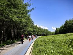 -红崖峡谷景区