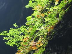 -野三坡百里峡景区