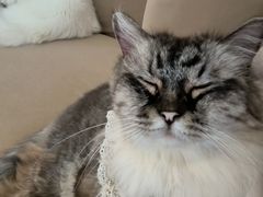 -怪兽屋·羊驼·猫咖·狗咖(俊华广场店)