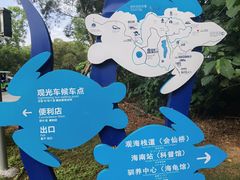-广东惠东海龟国家级自然保护区