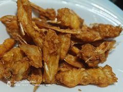 -港升鱼师傅·中山脆肉鲩