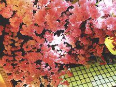 -尺山寸水日料(马桥满天星店)