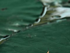 -后襄河公园