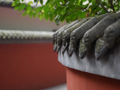 -成都杜甫草堂博物馆