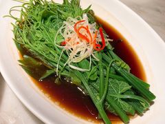 白灼瓜尖-初蓉丨遇见新川菜(亲贤街荣耀店)