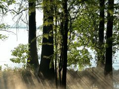 -东湖落雁景区