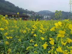 -红山村