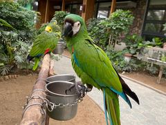 -南宫五洲植物乐园