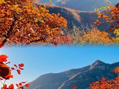 -周口店坡峰岭风景区