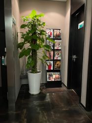 -史云逊养发护发