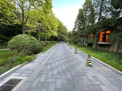 -清华大学-甲所餐厅