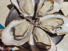 -蚝堡·生蚝海鲜烧烤物种起源•海肠捞饭(刘公岛店)