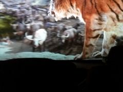 -万达影城(潍坊万达广场IMAX店)