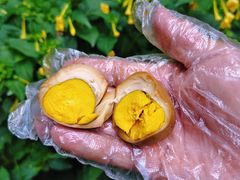 -顺城金记卤鸡·清真