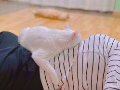 -齐伽生活馆·瑜伽·普拉提·阿育吠陀