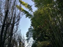 -南诏风情岛