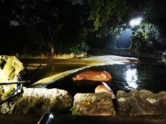 -清迈夜间动物园