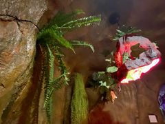 -醉小酒馆·川菜·江湖菜·重庆菜(观音桥旗舰店)