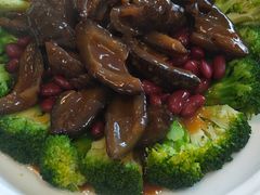 -顺德了能馆(虎门店)