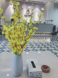 -ASA HAIR SALON
