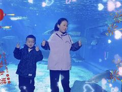 -多彩贵州城极地海洋世界