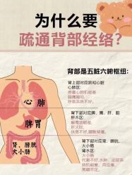 点击看大图 -玛莲朵·海菲秀冰珀科