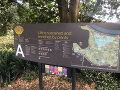-墨尔本皇家植物园