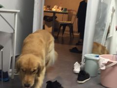 -马家庄面(松岭店)