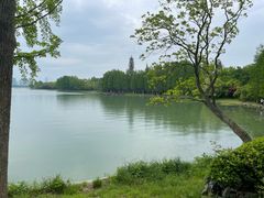 -长广溪湿地公园