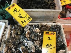 -鸿达渔港