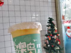 -南澳岛打卡果汁冰公司