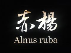 -老木头音乐空间(月河街店)