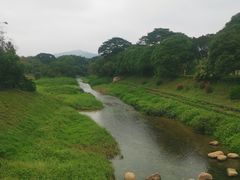 -美奈小馆·越南料理(中航城君尚购物中心店)