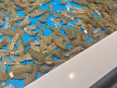 -渔港甄宴·海鲜·地标烟台菜(金沙滩店)