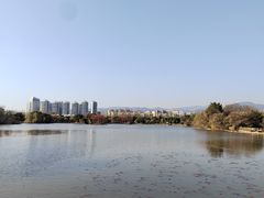 -西昌邛海湿地