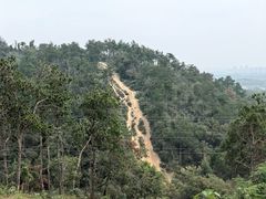 -青龙山国家森林公园
