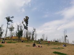 -白鹭湾湿地公园